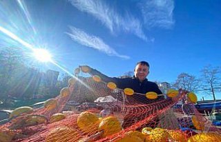 Düzce'de balıkçılar fırtına sonrası yeniden...