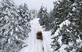 Kastamonu'da kar nedeniyle 13 köy yolu ulaşıma...
