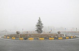 Kastamonu'da sis etkili oldu