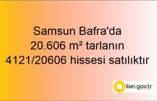 Samsun Bafra'da 20.606 m² tarlanın 4121/20606...
