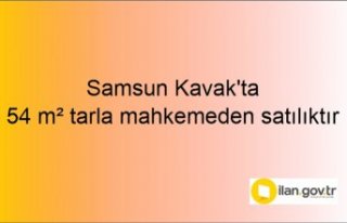 Samsun Kavak'ta 54 m² tarla mahkemeden satılıktır