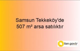 Samsun Tekkeköy'de 507 m² arsa mahkemeden satılıktır