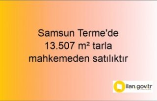 Samsun Terme'de 13.507 m² tarla mahkemeden satılıktır