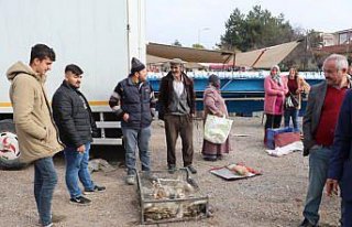 Tirit sezonuyla birlikte Havza'da kaz satışları...