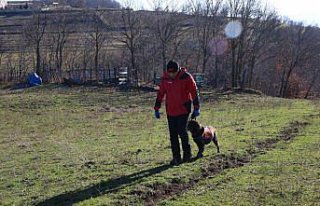 Tokat'ta 14 gündür kayıp olan kadın dedektör...