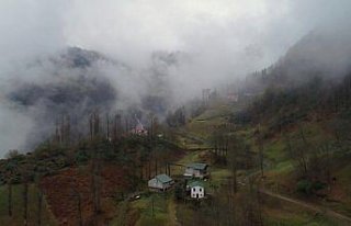 Trabzon'un “Hıdırnebi Yaylası“ sis altındaki...