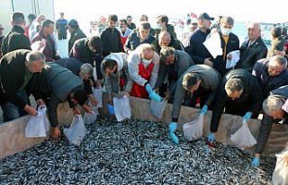 Zonguldak'ta hamsi festivalinde 15 ton balık...