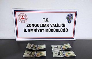 Zonguldak'ta sahte dolarla yakalanan 3 şüpheli...