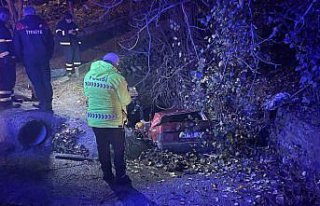 Zonguldak'ta su kanalına devrilen otomobilin...