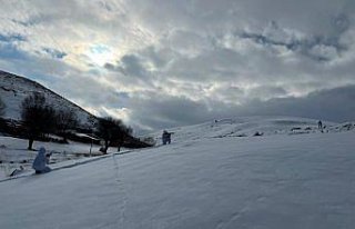 Giresun'da jandarma operasyonu