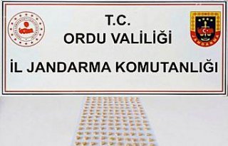 Ordu'da “torbacı“ operasyonunda bir kişi...