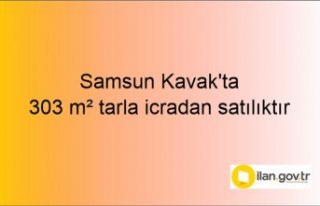 Samsun Kavak'ta 303 m² tarla icradan satılıktır