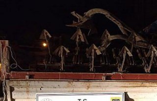 Samsun'da tarım aletleri çalan 2 zanlı yakalandı