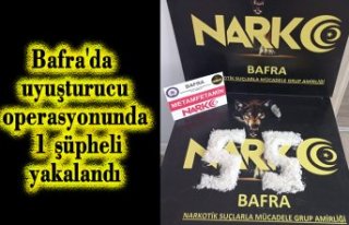 Bafra'da uyuş­tu­ru­cu ope­ras­yo­nun­da...