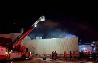 Bolu'da tavuk kesimhanesinde çıkan yangın hasara...