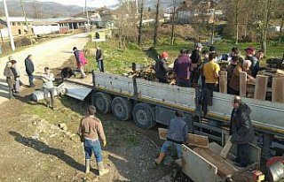 Düzce'de orman köylüleri deprem bölgesine yakacak...