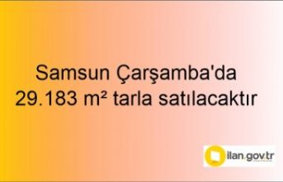 Samsun Çarşamba'da 29.183 m² tarla mahkemeden...