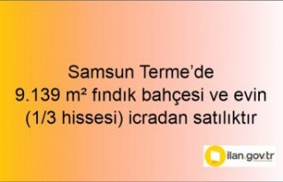 Samsun Terme7de 9.139 m² fındık bahçesi ve evin...
