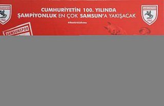 Samsunspor, Fenerbahçe'den Emre Demir'i kiralık...