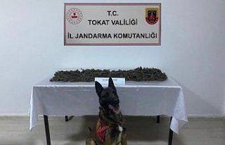 Tokat'ta uyuşturucu madde sattığı öne sürülen...