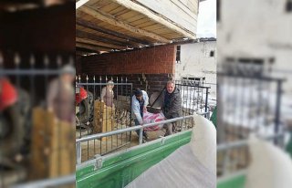 Tokat'tan deprem bölgesine un ve yem yardımı