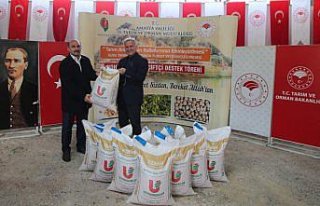 Amasya'da 400 üreticiye 44 ton nohut tohumu dağıtıldı