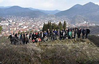 İskilip'te 100. Yıl Ceviz Ormanı'na bin civarında...