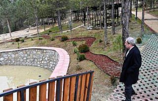 Karabük Belediye Başkanı Vergili, projeleri inceledi
