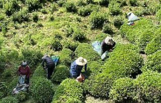 Deprem bölgesinde yapılacak 