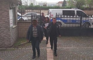 Samsun'da kamyonetle çarptığı kadının ölümüne...