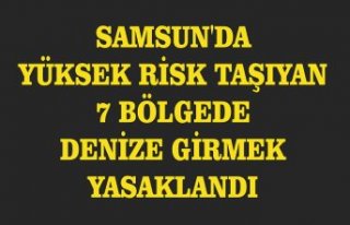 Samsun'da yüksek risk taşıyan 7 bölgede denize...