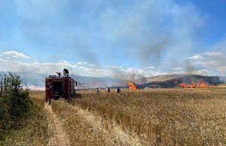 Tokat'ta yangın sonucu 20 dönüm buğday ekili...