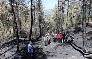 Bolu'da bu yıl çıkan 20 orman yangınında 150...