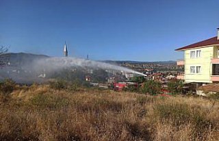 Tosya'da çıkan ot yangını söndürüldü
