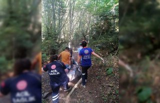 Bolu'da ormanda rahatsızlanan kişi ambulansa...