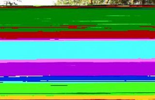 Kültür ve Turizm Bakanı Ersoy, Kızılırmak Deltası...