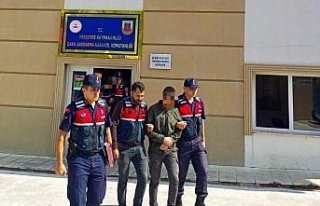 Ordu'da oto hırsızlığı iddiasıyla yakalanan...