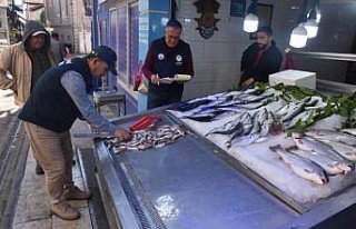 Sinop'ta balık satış yerlerinde denetim yapıldı