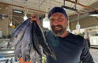 Sinop'ta balıkçı tezgahları hamsi ve palamutla...