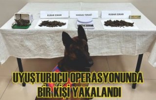 Uyuşturucu operasyonunda bir kişi yakalandı