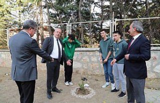 Amasya'da tıp fakültesi öğrencileri fidan dikti
