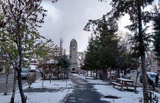 Başçiftlik'te kar yağışı etkili oldu