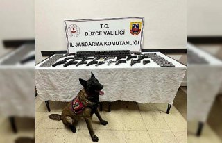 Düzce'de silah kaçakçılığı operasyonunda...