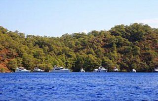 Orman yangınlarının Akdeniz'deki ekosisteme etkileri...