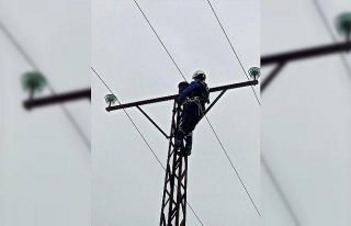 SEDAŞ, kesintisiz enerji için çalışmalarını...