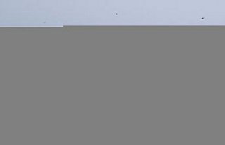 Zonguldak'ta batan geminin kayıp 7 personelini arama...