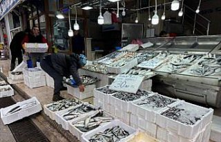 Karadeniz'de deniz suyu sıcaklığı düştü...