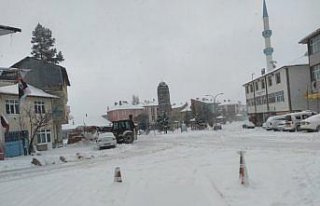 Başçiftlik'te kar yağışı etkili oldu