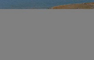 Akçaabat'ta Söğütlü Deresi'ndeki ıslah...