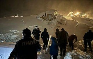 Artvin'de iş makinesinin üzerine çığ düşmesi...